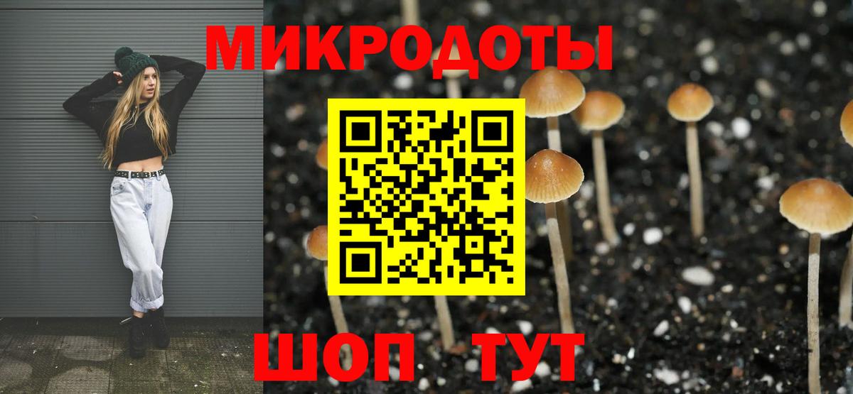 Железноводск  Галлюциногенные грибы мицелий  Вход с VPN 